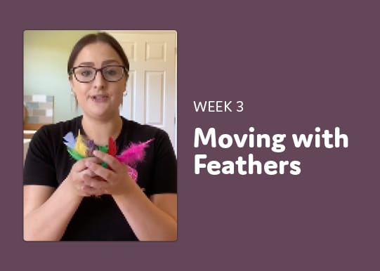 Moving with Feathers