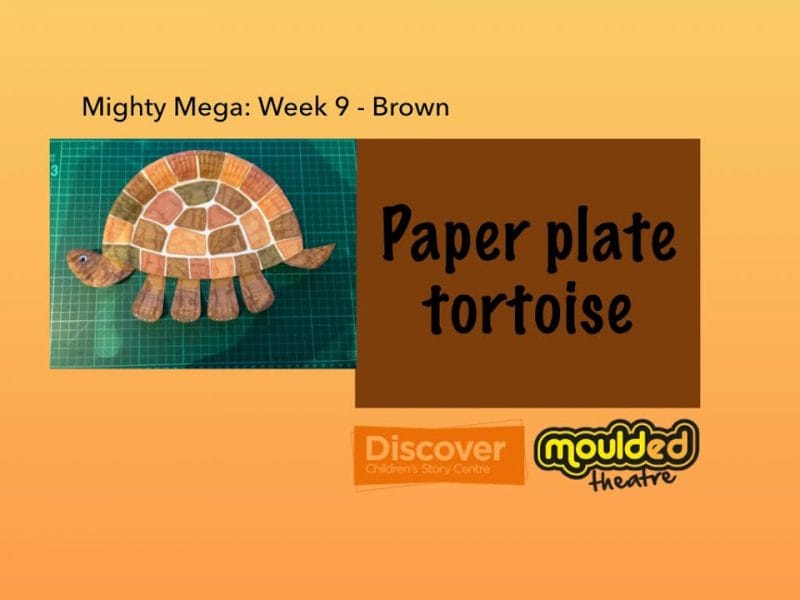 Paper plate tortoise