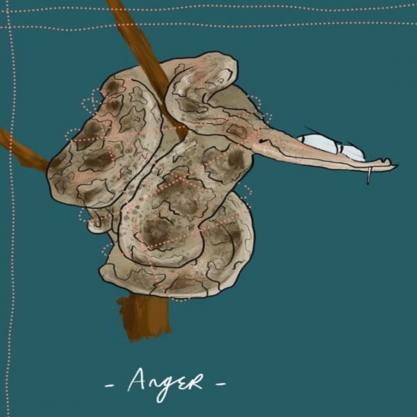 Illustrations by Merlin Evans