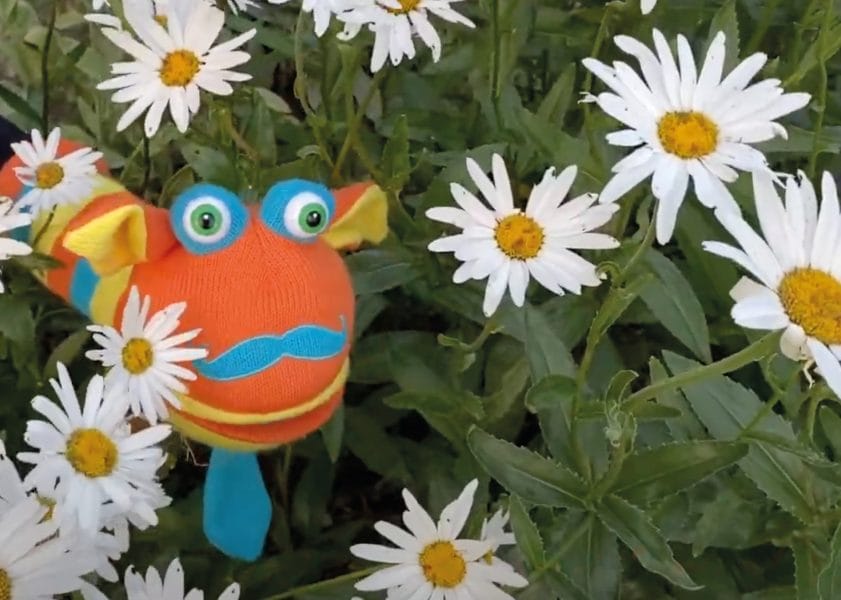 String instruments with Mr Snufflestash