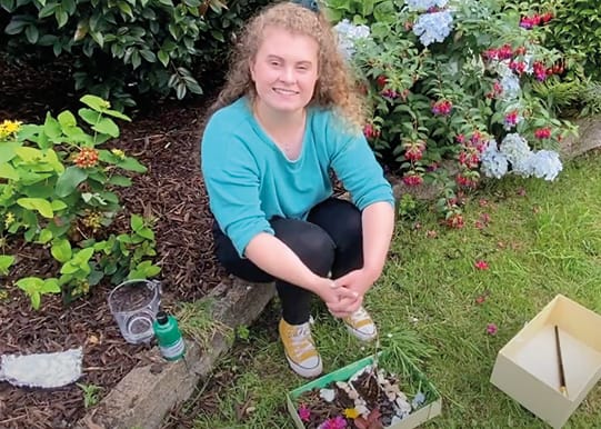 Miniature Magical Musical Forest