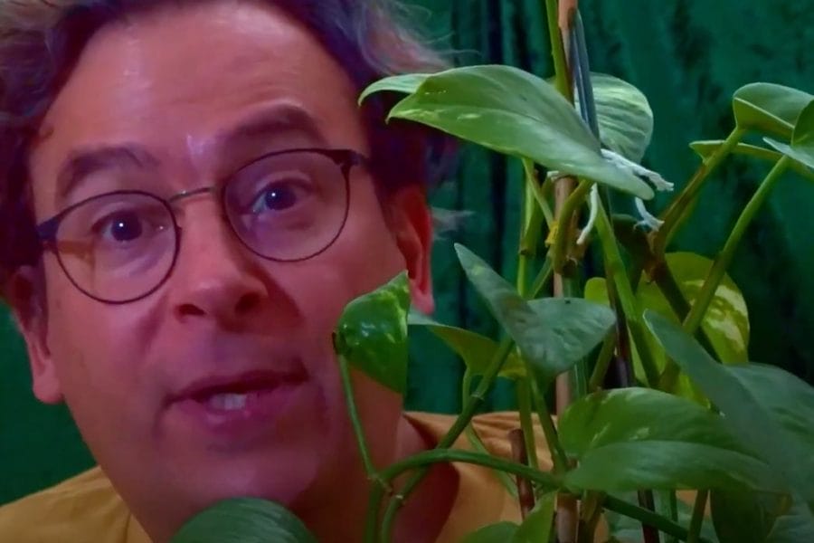 The Children Who Become Stars: Part 2