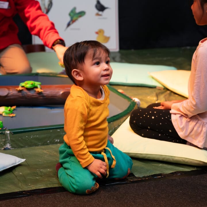 The Duck Pond at Discover Pops Up!